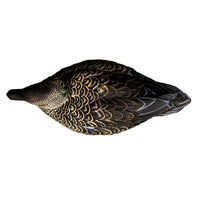Heyday Lifetime Early Season Teal Decoys